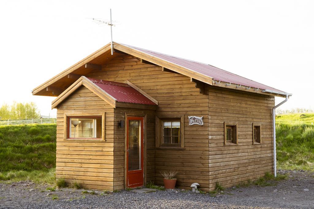 Auberge de jeunesse Geysir Hestar à Haukadalur Extérieur photo